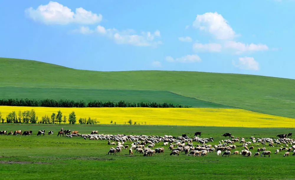 内蒙古,那段青春岁月的故乡记忆